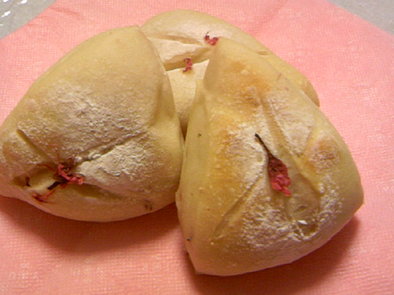 桜・パンの写真