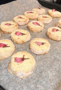桜のクッキー