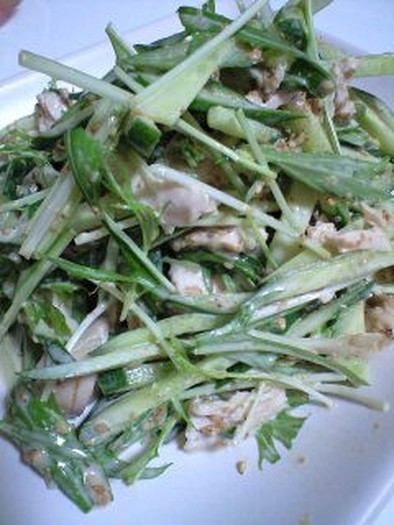 きゅうり・水菜・鶏のゴママヨサラダの写真