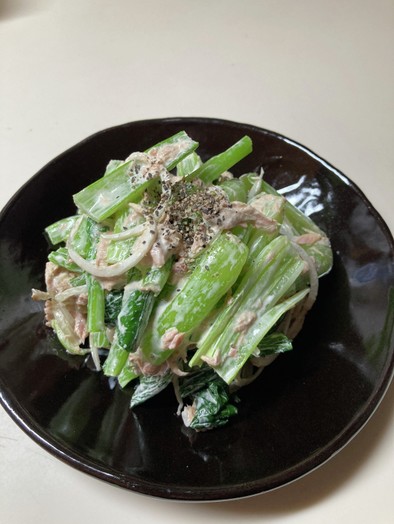 栄養たっぷり&簡単！ツナと小松菜のサラダの写真