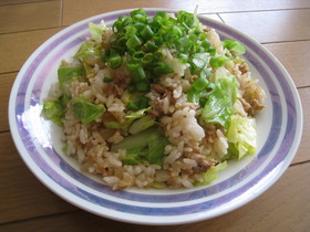 ★豚ひき肉と春キャベツの回鍋肉チャーハン
