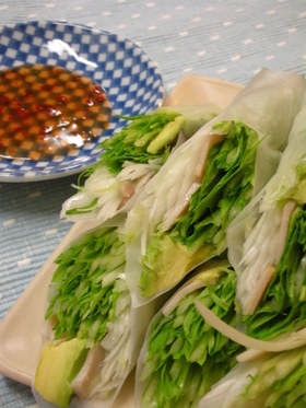 野菜モリモリ!!シャキシャキの生春巻き