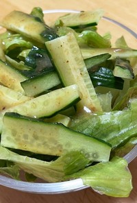 きゅうりとレタスの緑のサラダ