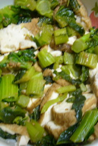 野沢菜と厚揚げの炒め物