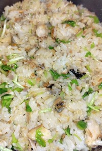 鯖の味醂干しと豆苗の混ぜご飯