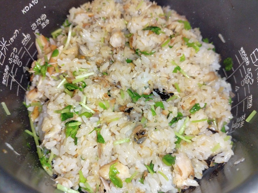鯖の味醂干しと豆苗の混ぜご飯の画像