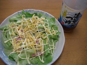一人ランチ♪サラダひやむぎ
