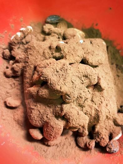 ヘルシーアマンドショコラ豆腐の写真