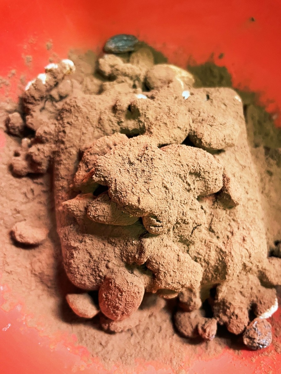 ヘルシーアマンドショコラ豆腐の画像