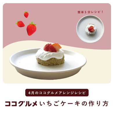 犬ご飯 /ココグルメいちごケーキの写真