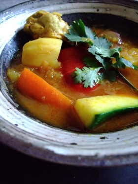 【野菜たっぷり】新たまねぎのスープカレー