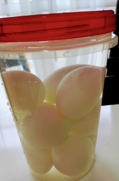 ゆで卵の保存の写真