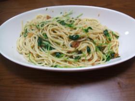 からすみと豆苗のペペロンチーノ