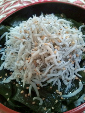 絶対食べて!おいしいよ!満腹しらす丼☆