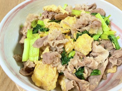 豚肉と小松菜の生姜炒めの写真
