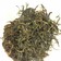 摘んだ生茶葉で緑茶、烏龍茶