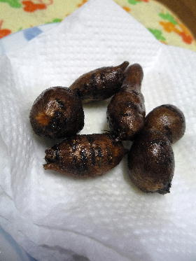 アピオスの素揚げ