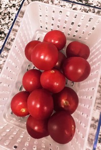 ミニトマト 保存の仕方