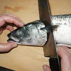 40f51f4b194483837ef2701fa55bd813