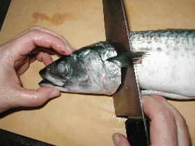 基礎シリーズ 4 ~魚の3枚おろし~