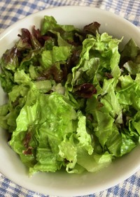 簡単なシンプル生野菜サラダ^_^