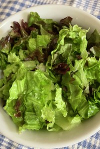 簡単なシンプル生野菜サラダ^_^