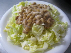 キャベツの納豆サラダ 卵アレルギーの方も