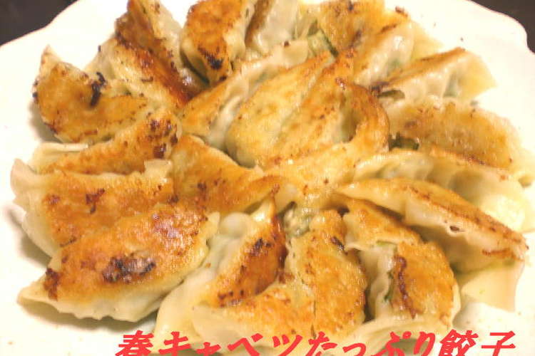 春キャベツたっぷり餃子 レシピ 作り方 By 管理栄養士ys クックパッド 簡単おいしいみんなのレシピが359万品