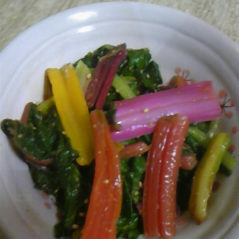 珍野菜料理1