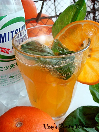 三ツ矢サイダー☆バジル＆オレンジ味！の写真