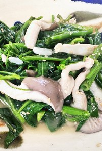 ヒラタケと空芯菜の炒め物