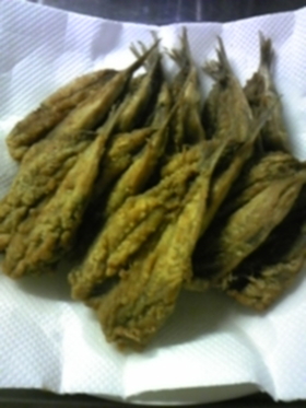 香ばしい真いわし揚げ