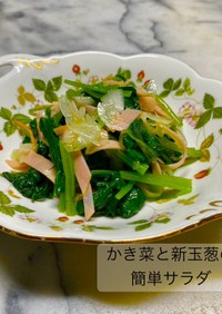 No3339かき菜と新玉葱の簡単サラダ