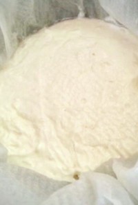 ヨーグルト+塩麹≒簡単*クリームチーズ