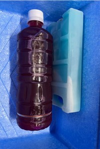 夏の風物詩　赤紫蘇で作る経口補水液