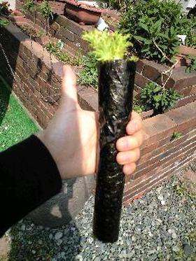 疲れた体に。わさび菜の、、海苔巻き、。