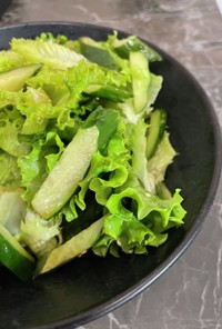 グリーンレタスときゅうりのシンプルサラダ