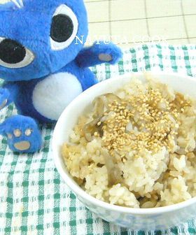 鶏牛蒡ごはん