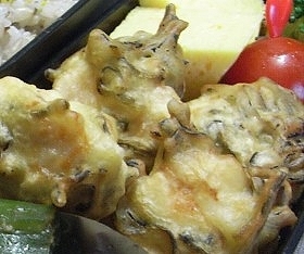 【お弁当】塩昆布で鶏ササミの天ぷら♪