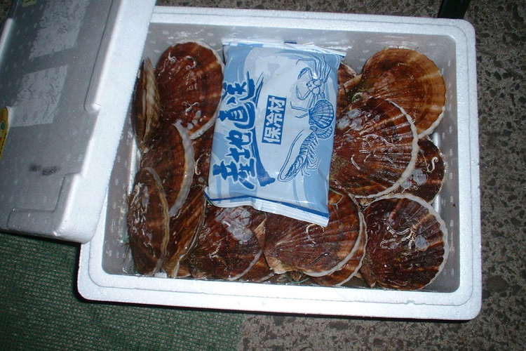 便利bbq キャンプで使える技 レシピ集 レシピ 作り方 By えむえむえむえむ クックパッド 簡単おいしいみんなのレシピが360万品