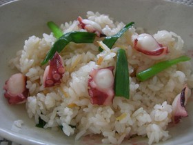 たこがぷりぷり♡ 旨~いたこ炒飯