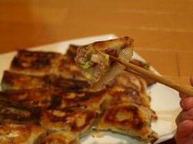 春キャベツ餃子