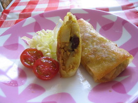 カレー春巻き サモサ風