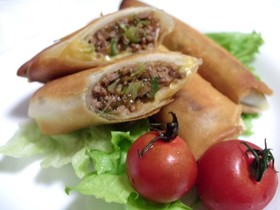 チェダースライスチーズとひき肉の春巻き