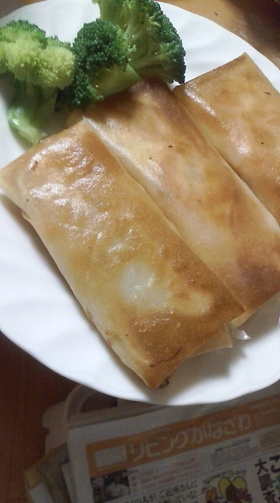 厚揚げで☆春巻