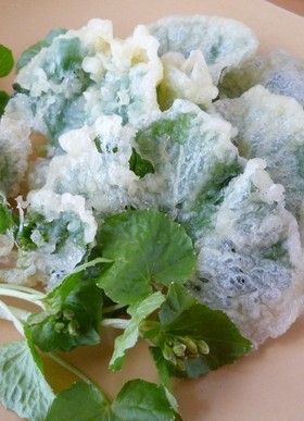 春の味~葉わさびの天ぷら!