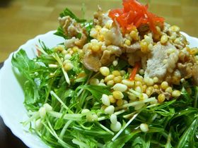 水菜の韓国風冷しゃぶサラダ