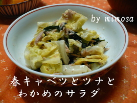 春キャベツとツナとわかめのサラダ
