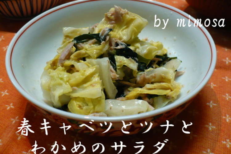 春キャベツとツナとわかめのサラダ レシピ 作り方 By Mimosa1978 クックパッド