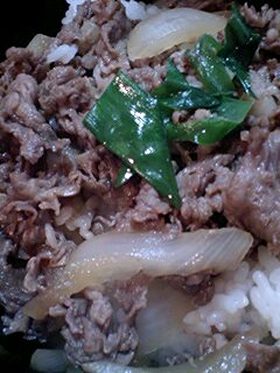 うちの牛丼♪親子丼もOK♪